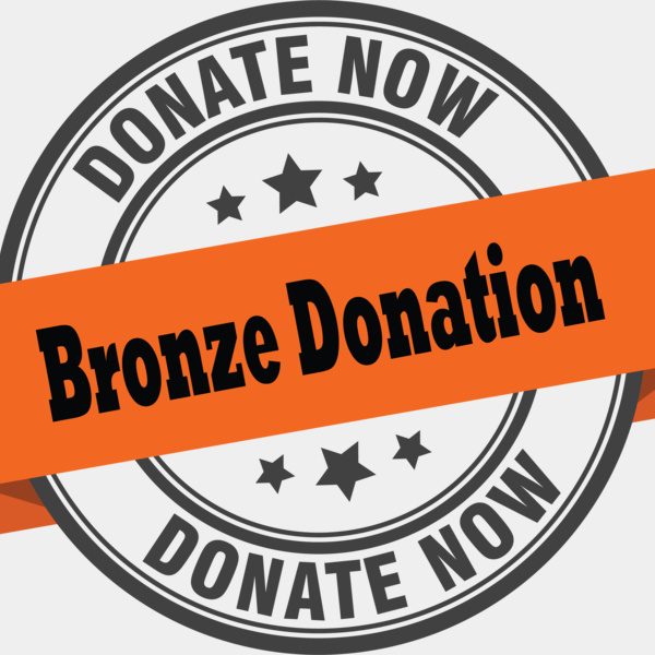 Youth Sports Donation Bronze Thumbnail