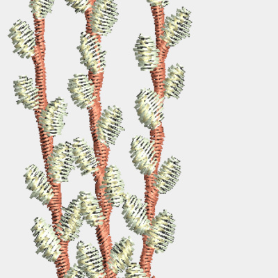 Decorative Thumbnail